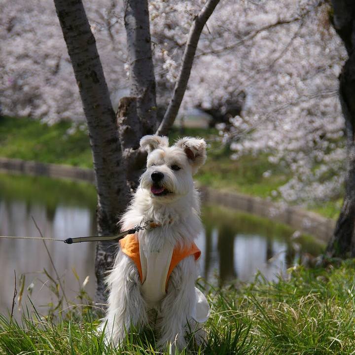 8d8d32b3 aff8 4d8e 8b73 485caf9f6a51 1554105816219