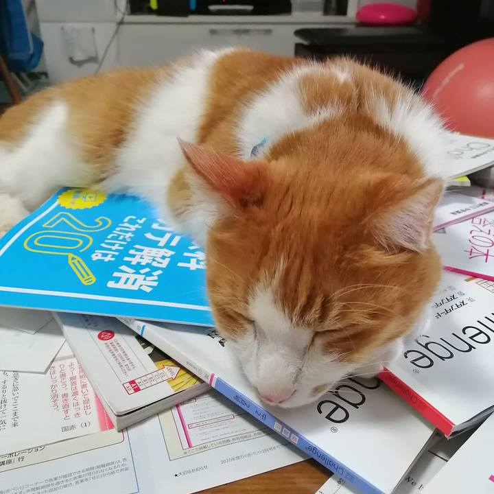 8d8d37a0 716a 49d3 98c9 ed733f93bc5f 1612826139262