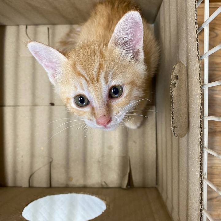 8d8d5d93 e044 4390 b6e2 9032f8264093 1656325168628