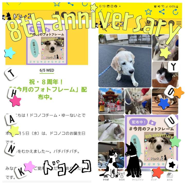 8d8d63ac ac14 4c12 8348 a1e27741fc47 1717580928512