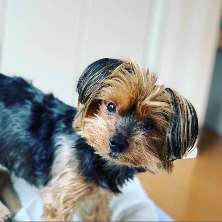 8d8d8218 d42a 431e 8404 0e44c63fbb2c 1590184905769