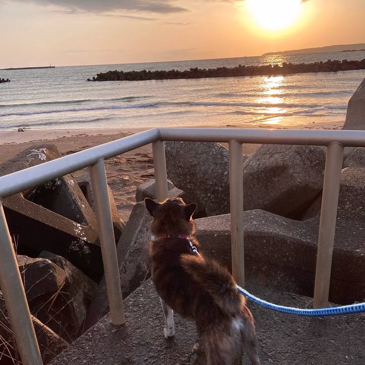 8d8dc06d 1681 4b27 b58f db8fba651d71 1711963631960