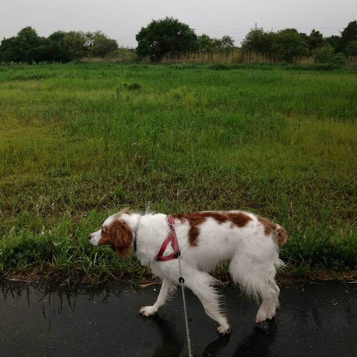 8d8dcc12 b236 4915 8b33 ec37ab0916fa 1621342253704