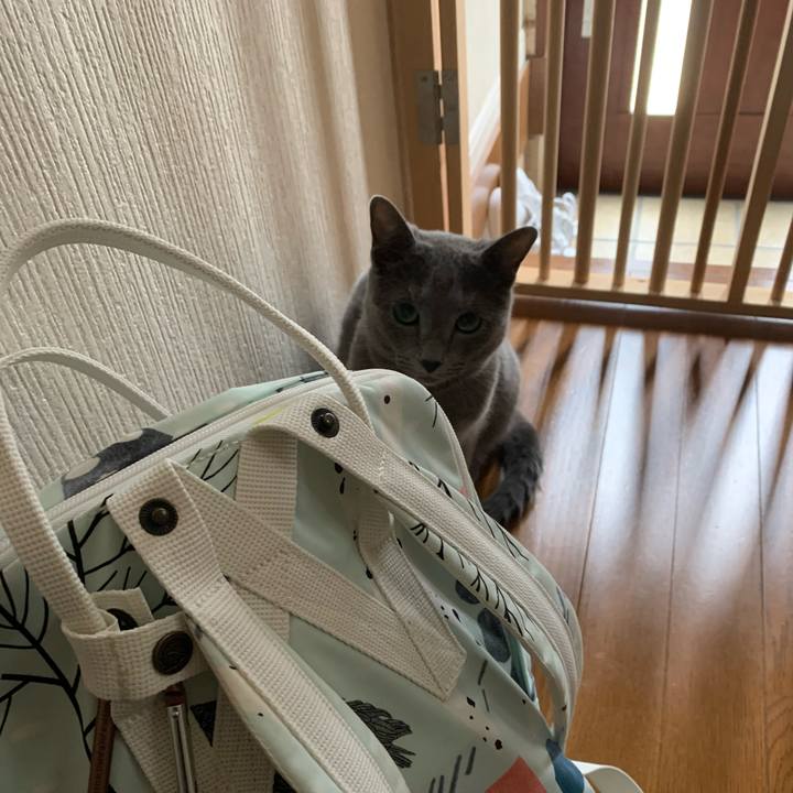 8d8de52e 7946 4724 8b37 0ca8a3885dcb 1651039786047