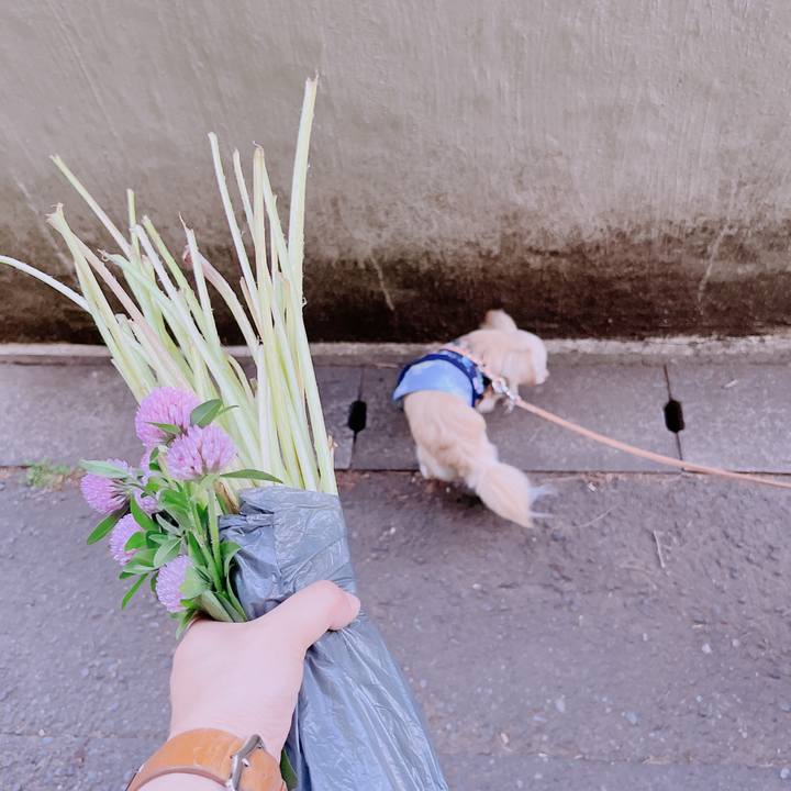 8d8e206b d1a5 4ceb a588 3b9b8bb0f6aa 1683441315051