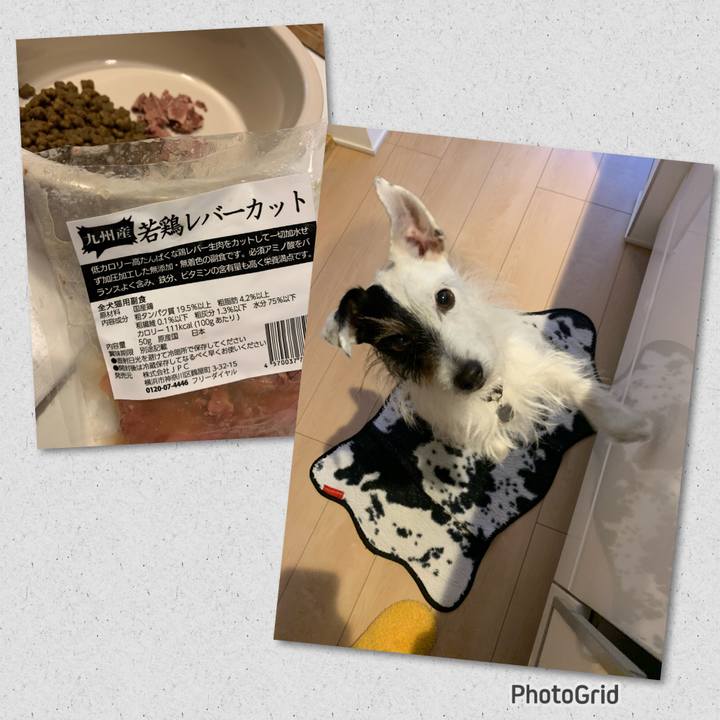 8d8ea6a3 1fd6 4801 98ba fd37b6b623d8 1675760792709