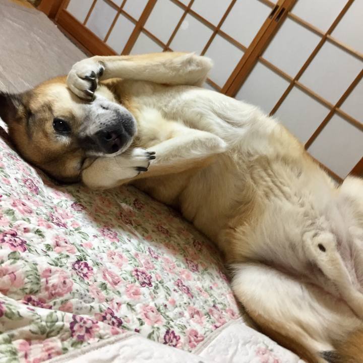 8d8efe14 3493 427b ab58 8bd27e21c2a6 1588076819024