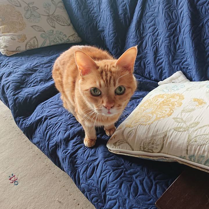 8d8f0496 3bda 48a7 b96e 2f6a3cc41075 1647301784410