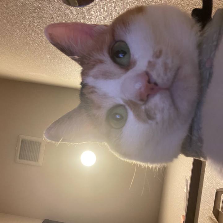 8d8f1810 6db5 4c81 b83b 89346813da58 1685489882907