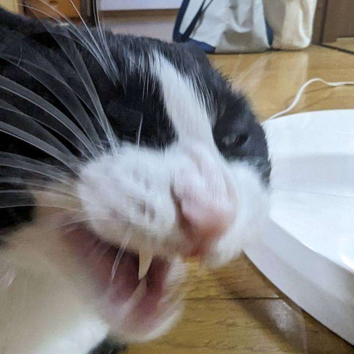 8d8f4bb1 6ebd 4805 9b89 5bd95cdb2313 1692331779432