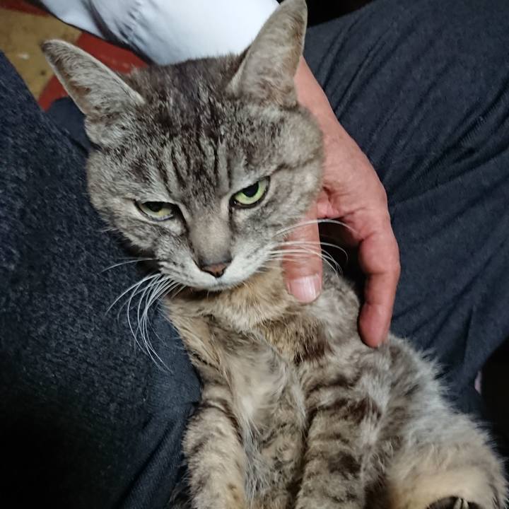 8d8f4bbf eabe 443e b458 06941303e783 1553766945165