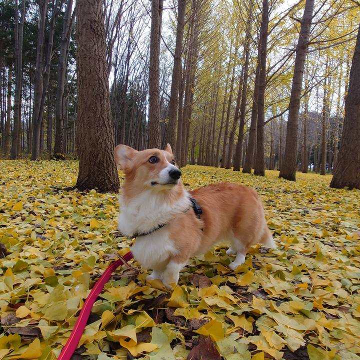 8d8f57a2 562f 453c a109 508d7febc735 1762682168734