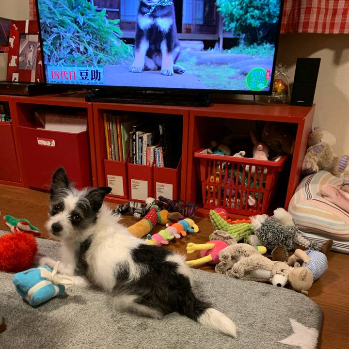 8d8f79f1 591d 43fc 9e1f 47e26d946af8 1584696215988