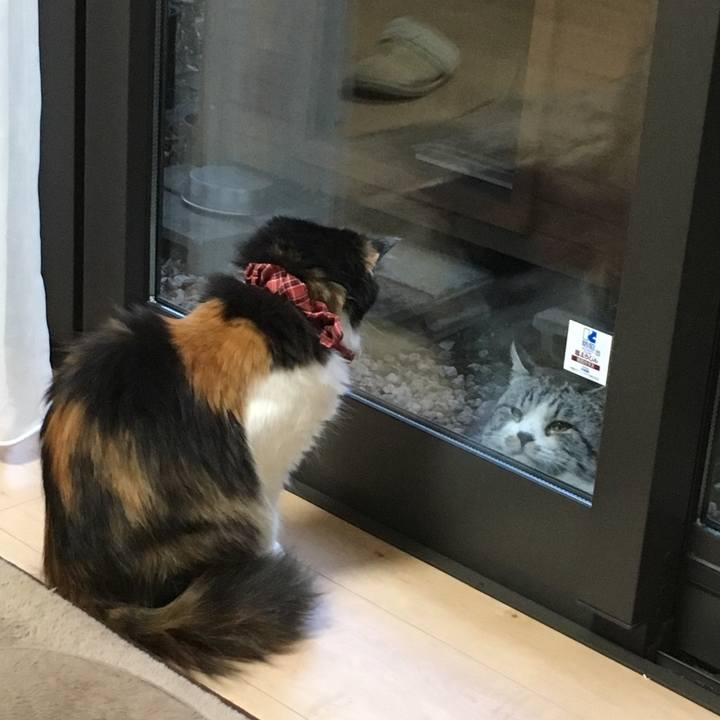 8d8fa402 6b81 4d75 8639 d0db786a94f0 1519635405759