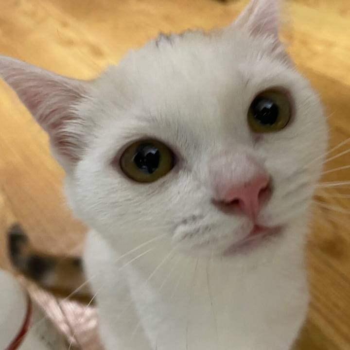 8d8fe4ab eea2 4ba8 a254 5220c6b80664 1595050318143