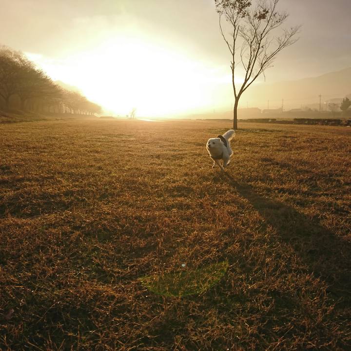 8d8ff5ae 2a39 485d a018 3565caa09977 1545000455106