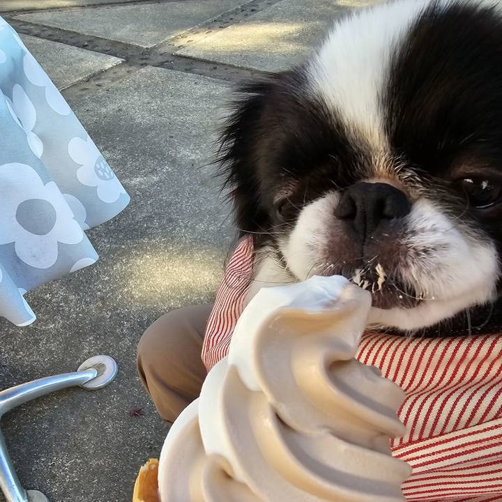 8d901e17 0541 42b1 9d48 3d70b8fbfefe 1701230713247