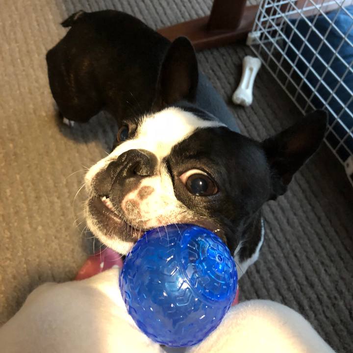 8d902bc0 65f4 46fe b856 5ee7d271d4b8 1539313852917