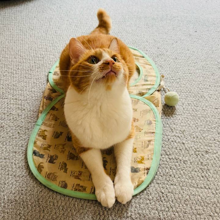 8d907a19 d8d3 4f8e acae fe24bb6259bc 1757558997515