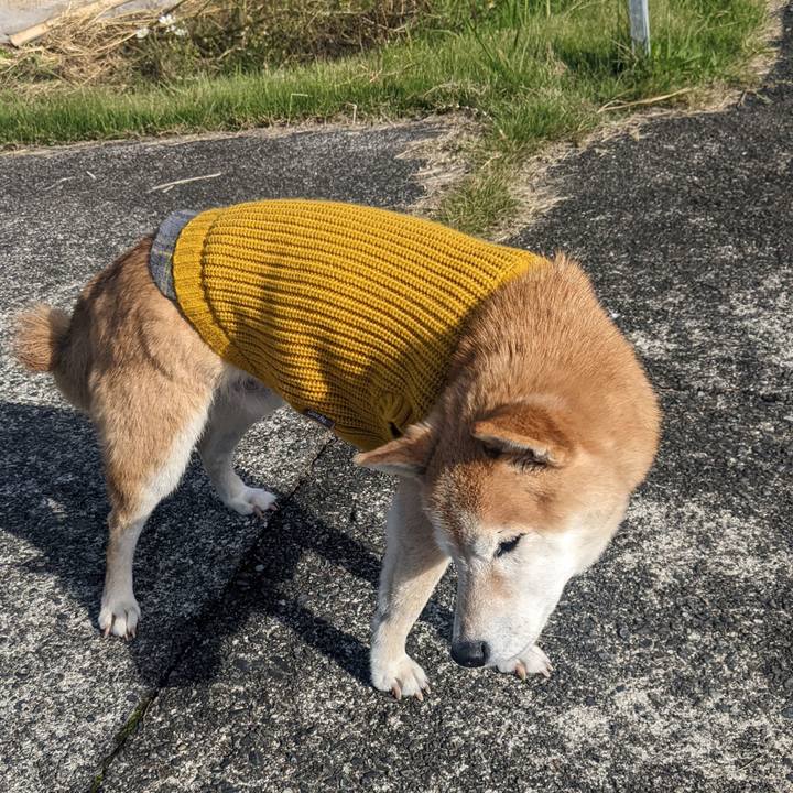 8d908db7 1851 438b 8d00 9bd9cd1af7e2 1762518923145