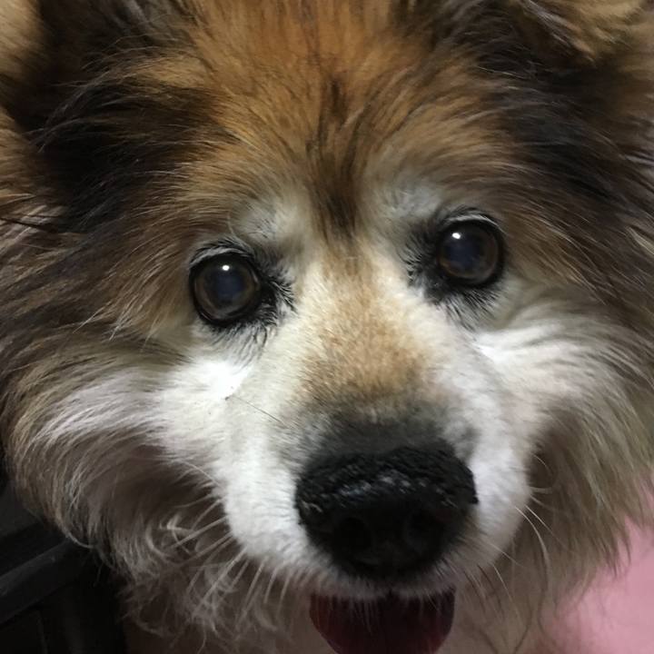 8d90b5b8 ff37 4854 baf7 9caf25174e33 1586712124776