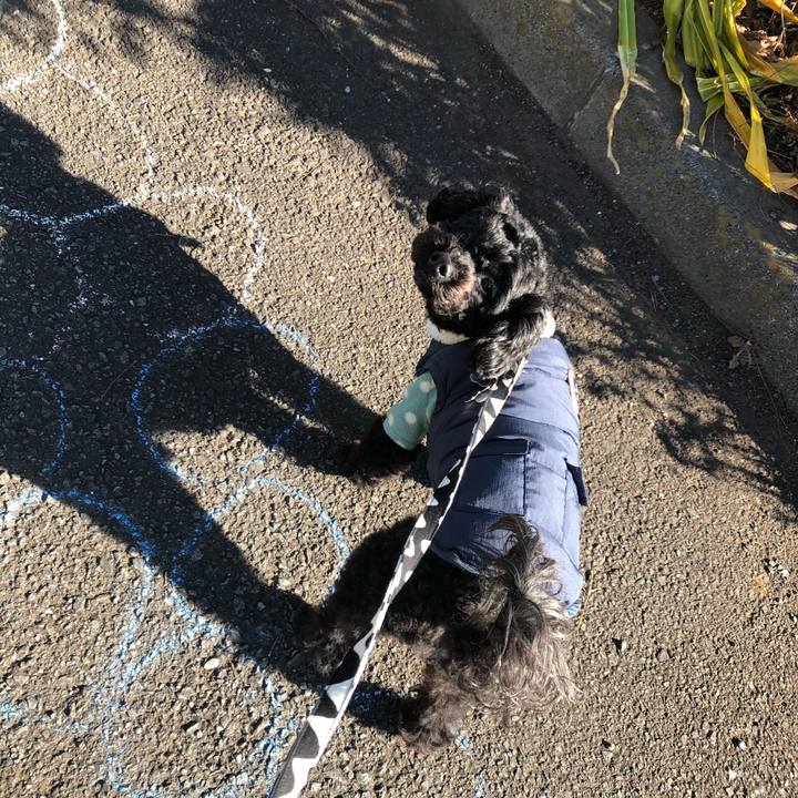 8d90cfdd 504d 4b08 a051 025d3ced437e 1609640267214