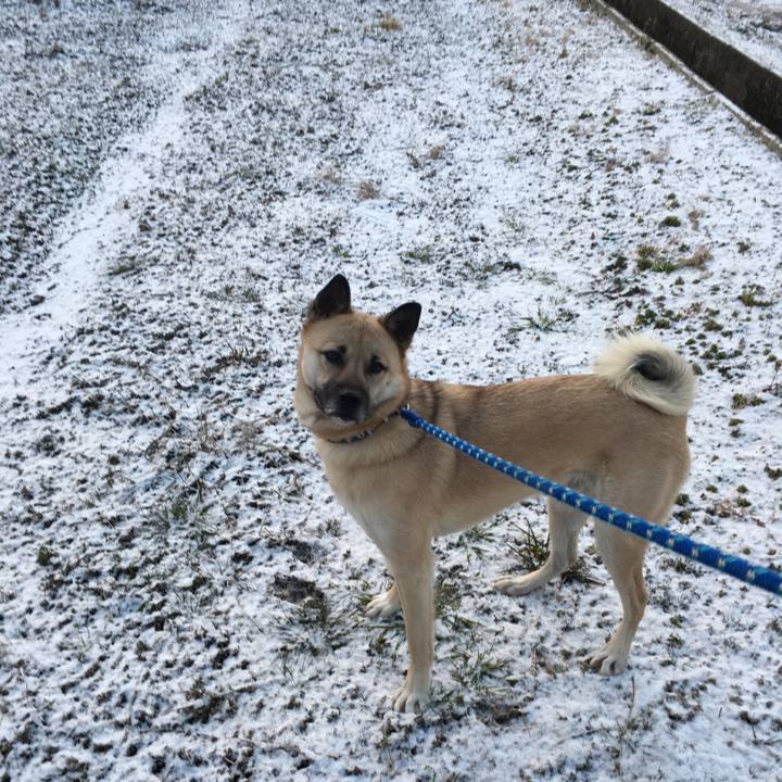 8d913b2d 8f79 4bc5 a76a 25564182e069 1517915575892