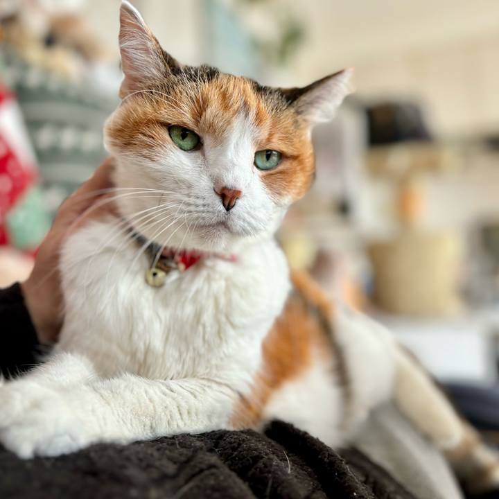 8d91555c e1c0 4b52 b331 1507bfbc63ea 1706315080248