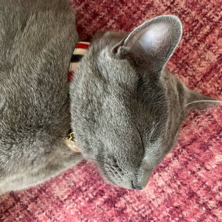 8d917614 4cd9 4e4f a317 498a0b2551dc 1592714676690