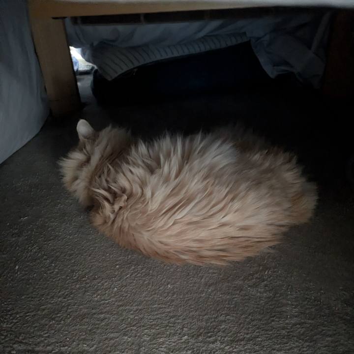 8d918b57 c4e1 4f90 a7a0 ab489fd852a1 1769306633078