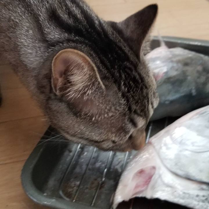 8d919169 5815 4ec0 b138 f39fe2b20790 1693829347242