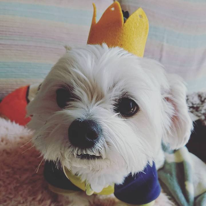 8d919c98 bf12 42a3 8fa9 fbe07c89e1de 1585050615615