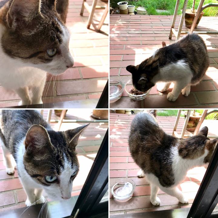 8d91a541 5e3d 48f0 b4ce b361467e6cdc 1566381563204