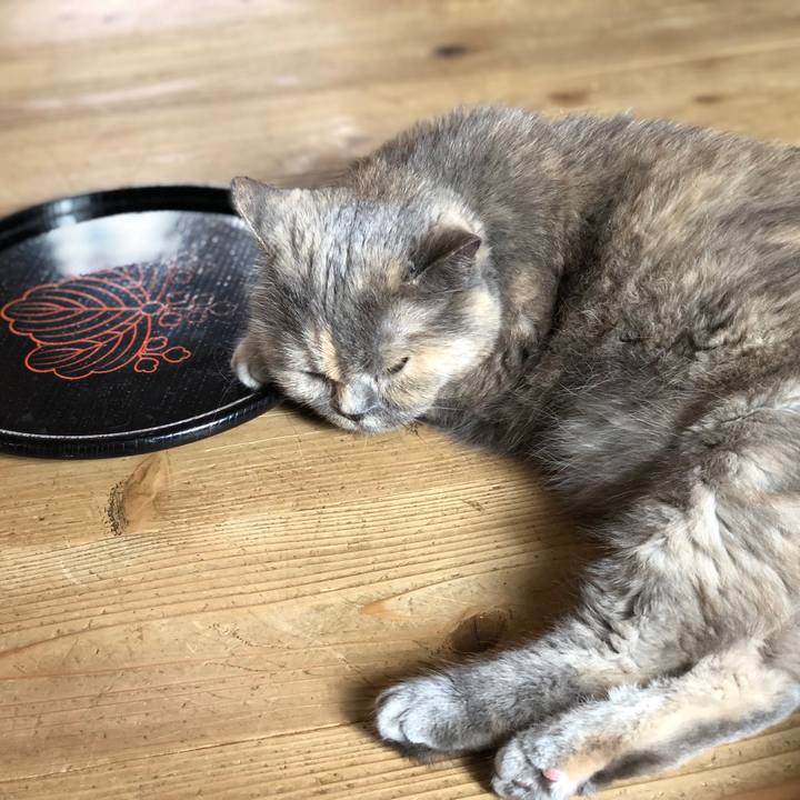 8d91c7c1 17d8 474c b224 0c4809179c03 1691503274372