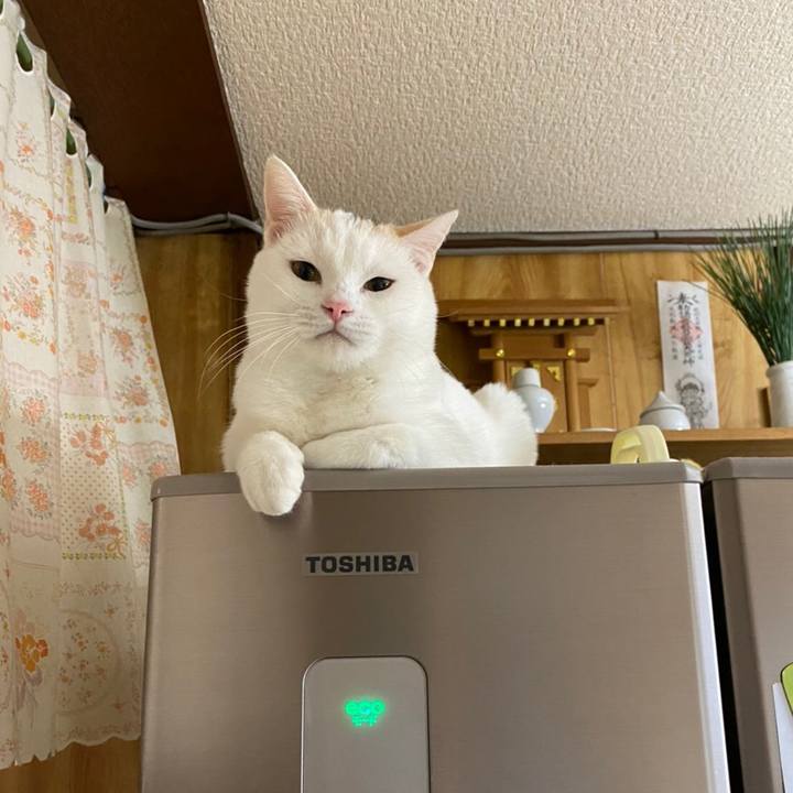 8d91f577 1227 4317 8524 8435e06c2702 1608589575951