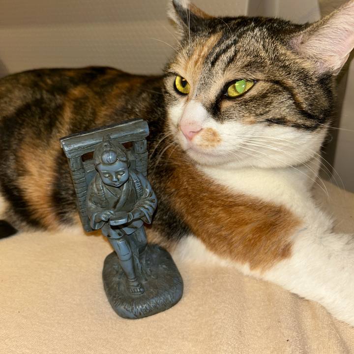 8d92068b 42d5 4969 a87f 671cfbe3f033 1762875432542