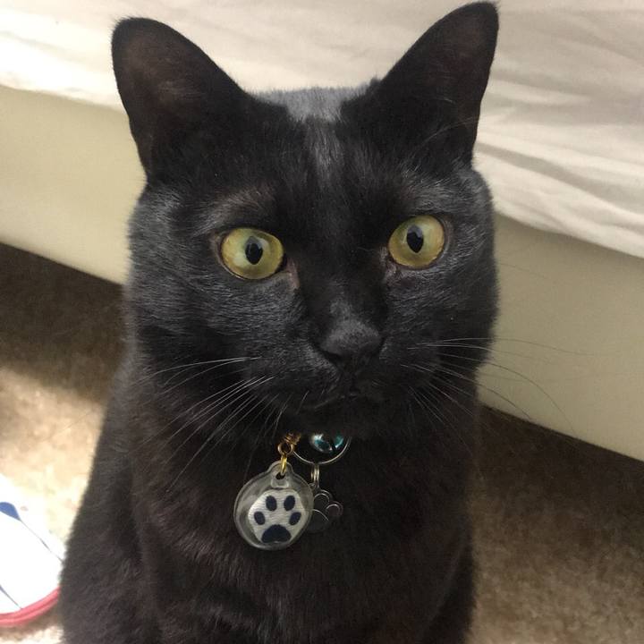 8d923325 9992 4fa5 b6b0 2cc31f99d3c4 1518014586888