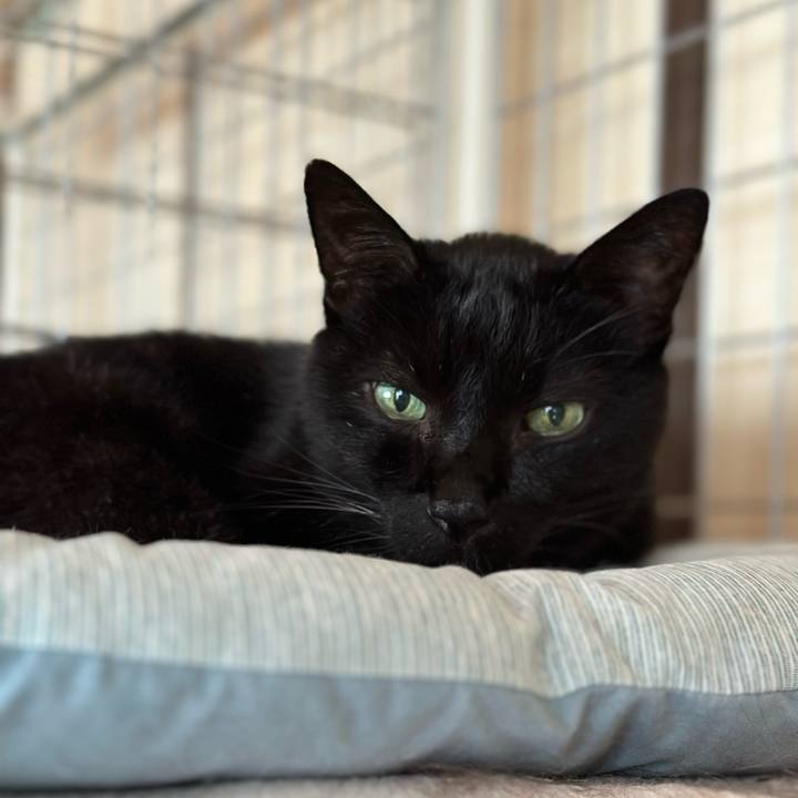 8d9234e0 5429 4b84 b17b 38e8731a0bc0 1697246738461