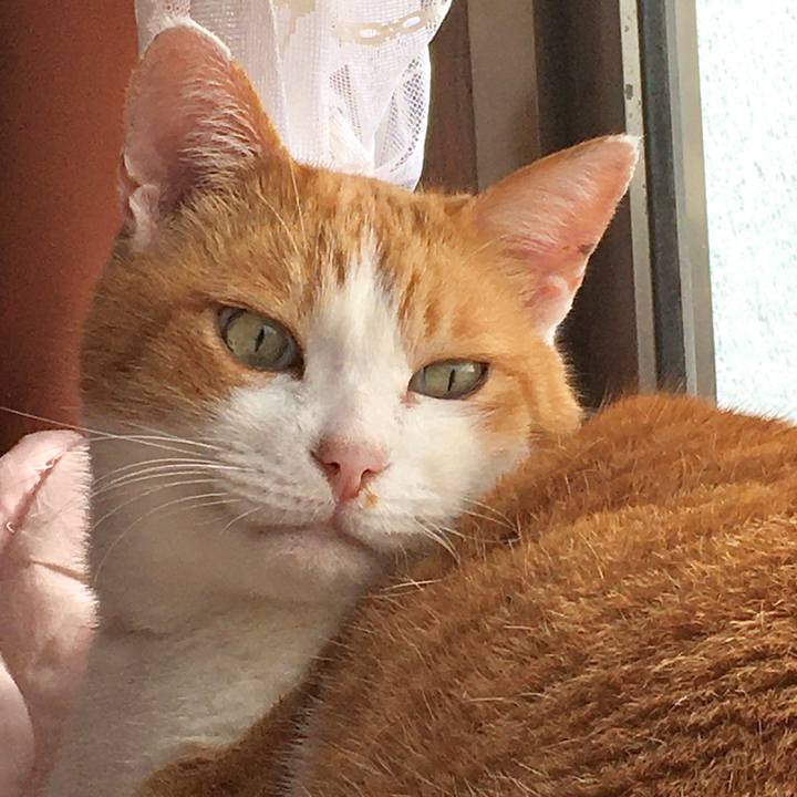 8d92bbdb 2d16 4e11 85b3 b22953e30c27 1577170905788