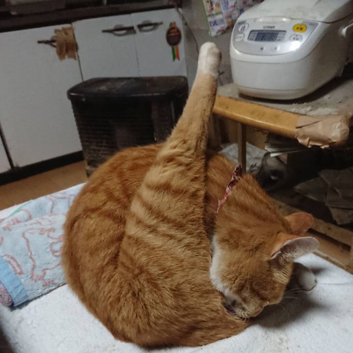 8d92cb9e fcfd 4741 81a2 425499d6c730 1604131815356