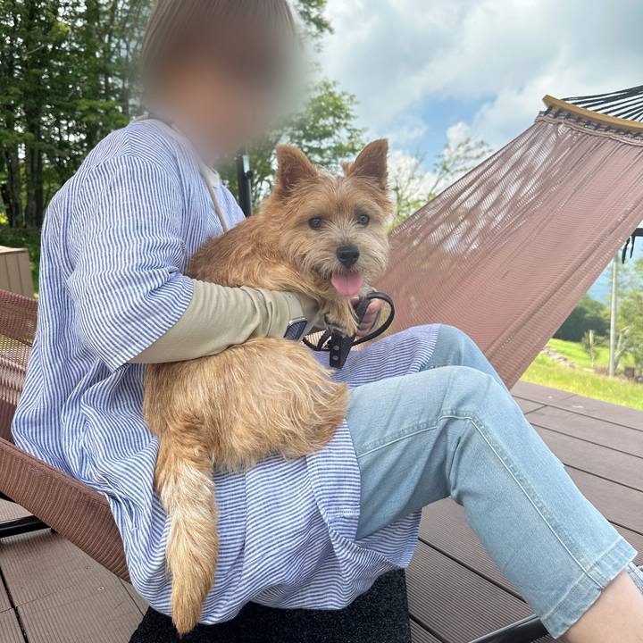 8d92e713 6022 40a5 b73a 6540f961b58c 1722692395964