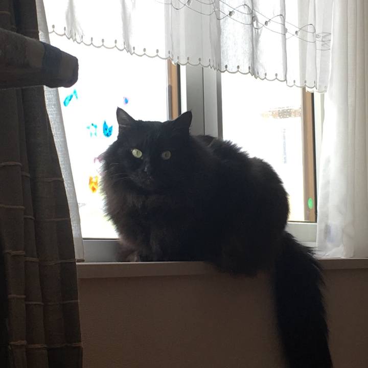 8d92f1ca e3cd 40ef 83a7 d17e62b9a06c 1549428483811