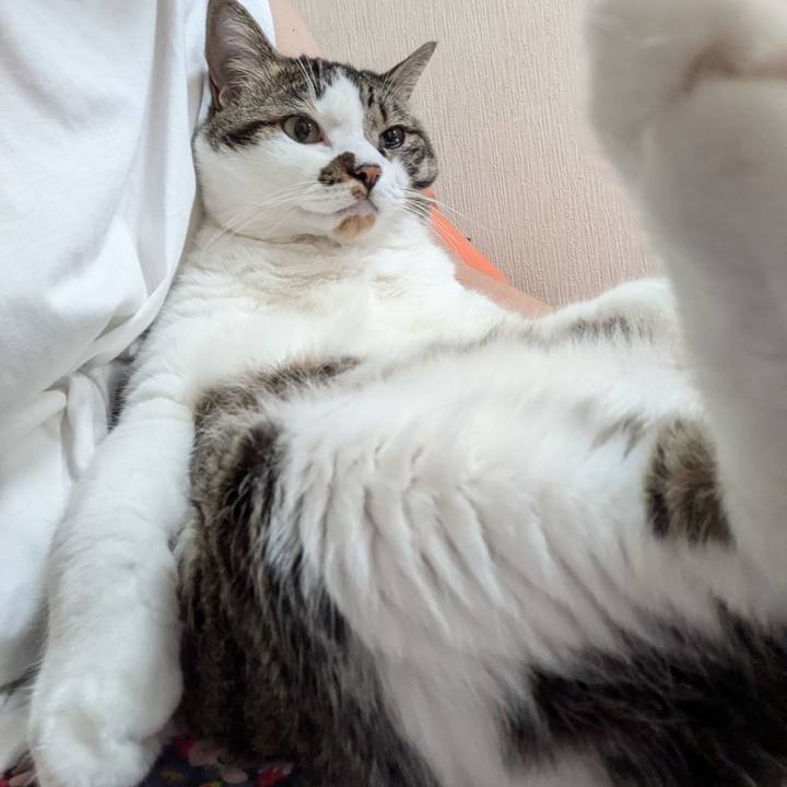 8d92fe5a 76c9 4855 9043 a8b1e6a6e489 1724636954972