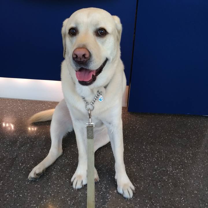 8d930e26 389d 4ff7 8216 de857eb96167 1573432084091