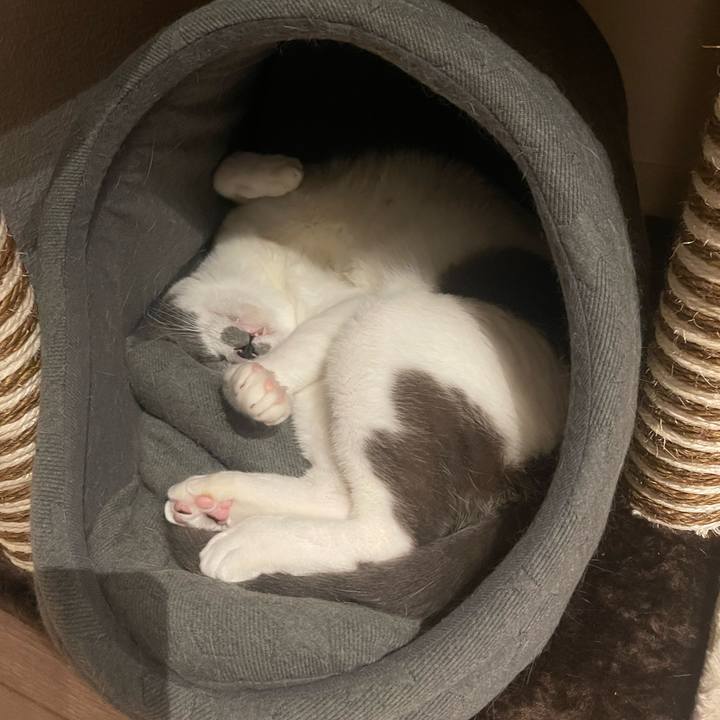 8d9329fc 5029 45ce 8939 7b462b5bfbdb 1665835585124