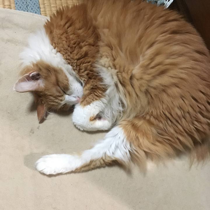 8d93b708 42b4 48ad 884d 70cf1f8e4092 1625063302227