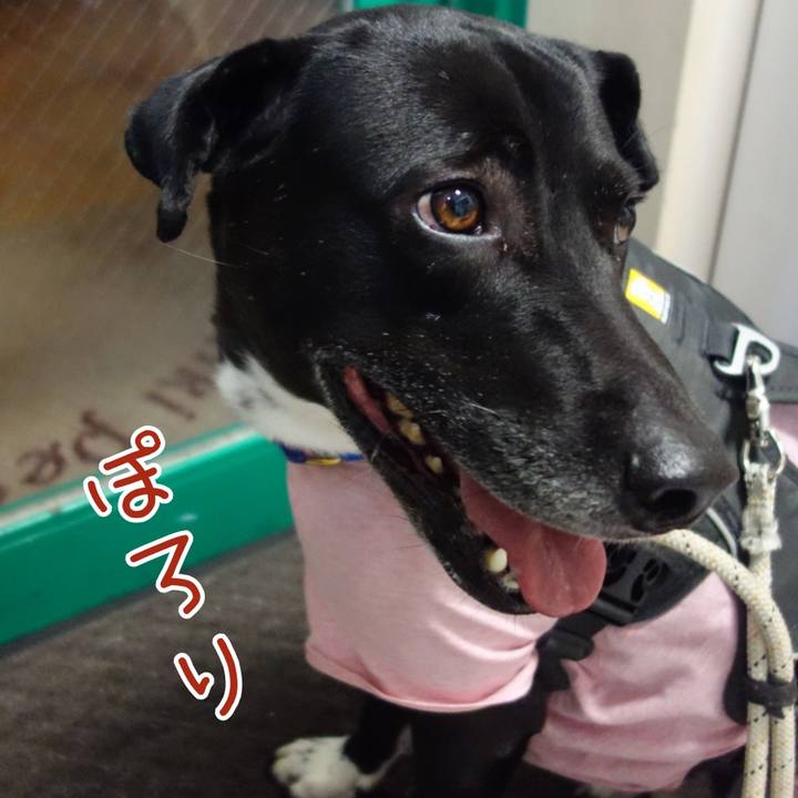 8d93d366 fc5b 41cc 81e6 b815499eaee9 1640170326197