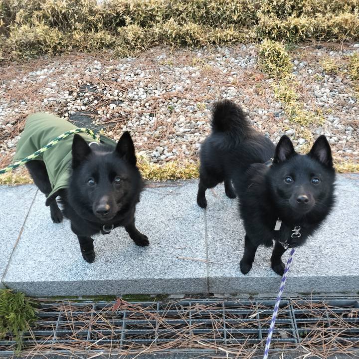 8d93d6d3 61d2 43bb bfce f675f66bddd8 1768716728000