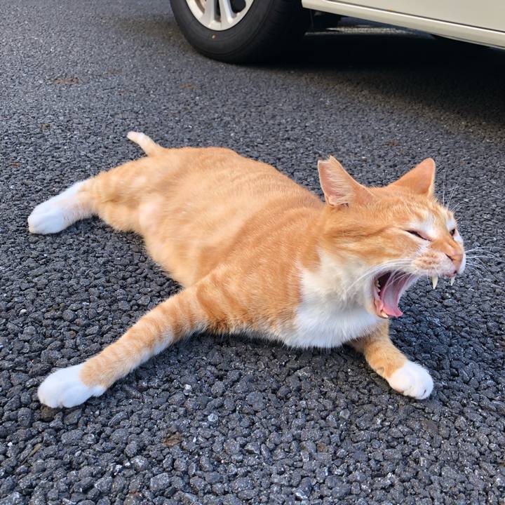 8d93fb33 68c2 4308 92a3 027a20539a27 1569073005945