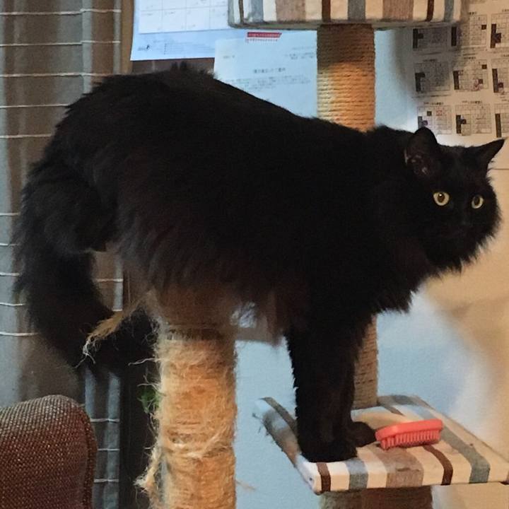 8d94106f 6a9b 4d90 8de4 750e03c18fa8 1545953854197